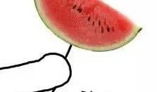 吃瓜群众西瓜真甜,揭秘西瓜真甜的秘密