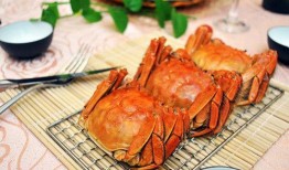 吃螃蟹后能否吃哈密瓜,揭秘吃蟹后能否享用瓜果的饮食奥秘