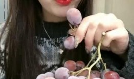 兔子姐姐吃瓜,兔子姐姐的瓜田奇遇记