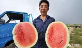 今年最强吃瓜事件,揭秘年度爆红事件背后的真相