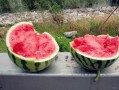 无锡太湖吃瓜,无锡太湖畔的夏日吃瓜盛宴