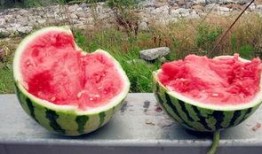 无锡太湖吃瓜,无锡太湖畔的夏日吃瓜盛宴