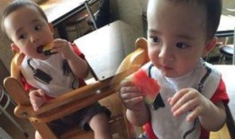 呆萌吃瓜图,萌宠趣味瞬间，萌态可掬引网友热议