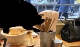 尹瓜怎么吃,解锁美味新体验