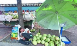 漯河职业吃瓜,揭秘幕后故事，探寻美食与文化的交融