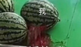 网友说别吃瓜了瓜都吐了,消化不良，警惕过度追剧成瘾