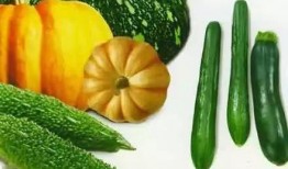 吉隆吃瓜,揭秘当地特色美食背后的故事