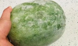 渔网精神吃瓜,网罗瓜界风云，品味人生百态