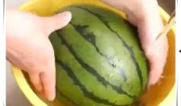 华子吃放水瓜,放水瓜的诱人魅力