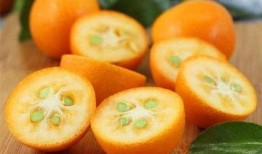 蒲瓜可以吃皮,意想不到的美食新发现