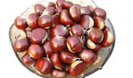 吃板栗瓜治便秘,轻松解决便秘困扰