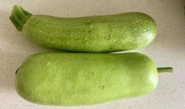 立秋吃瓜吃的是什么瓜