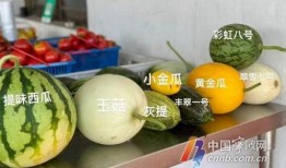 博兴最新吃瓜新闻,揭秘神秘事件背后的真相！