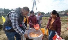 虹山水库吃瓜,清凉一夏，共享田园时光