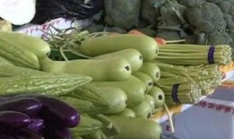 怎么吃瓜不苦,如何品尝瓜果美味，尽享甜蜜时光