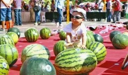 吃瓜比赛有哪些,一场舌尖上的狂欢盛宴