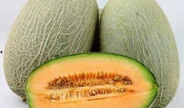 哈密瓜有吃哈密瓜的吗