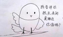 吃瓜教你怎么写,吃瓜群众教你轻松掌握撰写热点文章的秘诀