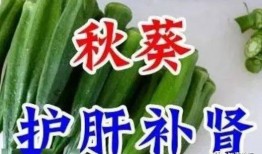 加好友吃瓜,揭秘社交圈中的趣味与陷阱