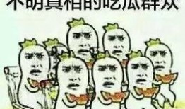 吃瓜群众付小豪什么意思,网络热词背后的故事