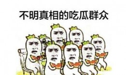 吃瓜群众蔡大爷视频,揭秘娱乐圈幕后故事