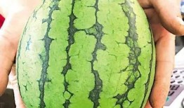 中国的吃瓜事件,网络舆论场上的狂欢与反思