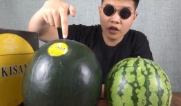 国产吃瓜最新,揭秘娱乐圈幕后风云