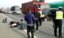 吃瓜小狗车祸视频,吃瓜小狗遭遇车祸，网友热议生命无常