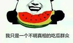 正经吃瓜青年,他们如何成为网络热词背后的文化现象