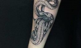 吃瓜爆料蛇纹身,吃瓜爆料揭示惊人真相