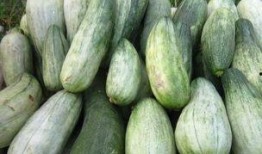 吃酥瓜引起呕吐