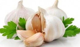 骨折可以吃蒲瓜,天然食材的营养疗法