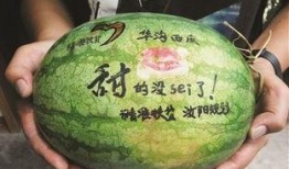 恐龙岛吃瓜,一场吃瓜者的冒险之旅