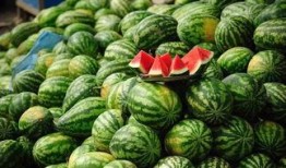 背着锅吃瓜,揭秘背着锅吃瓜的独特风情