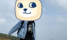 大熊吃瓜日记林青平,林青平的麻辣点评与人生感悟