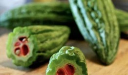 中科创达吃瓜,揭秘科技巨头背后的“吃瓜”故事