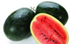 海南网瓜怎么吃,解锁热带水果的多样美味吃法