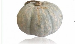 小孩吃瓜香,小孩吃瓜的欢乐时光