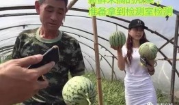 台州吃瓜直播,带你领略当地美食与风土人情