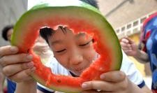 邯郸水城吃瓜事件,一场网络热议的瓜田奇谈