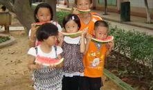 吃瓜观众时评,吃瓜观众视角下的时评风云