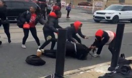 拍下邻居吃瓜,见证邻居的“吃瓜”瞬间