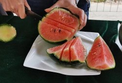 召庄吃瓜,揭秘乡村生活的甜蜜与苦涩