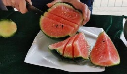 召庄吃瓜,揭秘乡村生活的甜蜜与苦涩