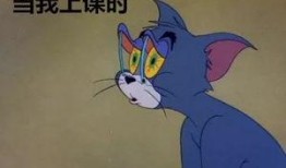 吃瓜课搞笑,笑料横生的趣味科普之旅