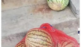 漯河职业吃瓜,揭秘幕后故事，探寻美食与文化的交融