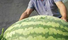 大小王吃瓜,揭秘娱乐圈幕后风云