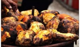 泗水恒星吃瓜,揭秘瓜界传奇，探寻瓜农的匠心独运