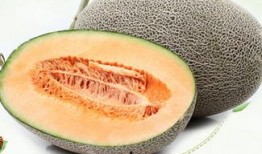 吃哈密瓜肠胃,肠胃健康的甜蜜守护