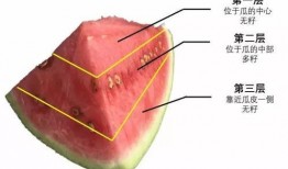 吃瓜是溶栓,揭秘日常饮食中的神奇功效